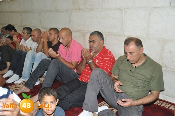 bazsalah lud 712 (20).JPG